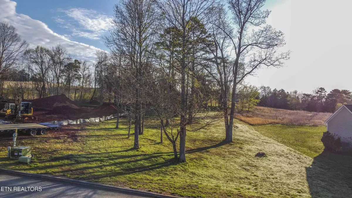 Harriman, TN 37748,Lot 13 Serenity DR