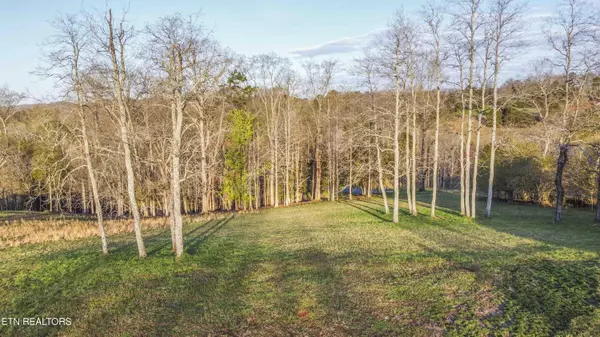 277 Serenity DR, Harriman, TN 37748