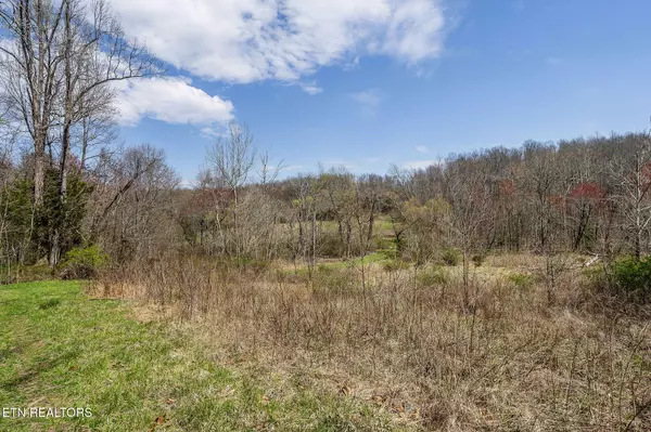 Sparta, TN 38583,White Oak Flatt Rd