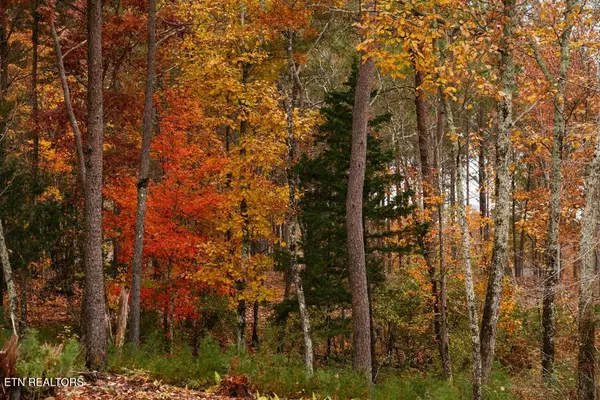 Soddy-daisy, TN 37379,00 Worley Rd