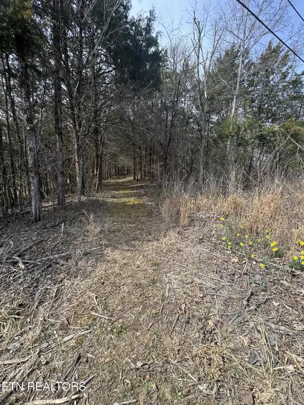 Bybee, TN 37713,Creek Rd