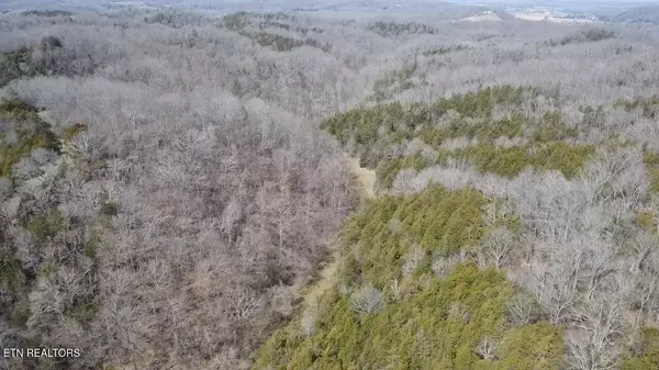 Bybee, TN 37713,Bear Creek Rd
