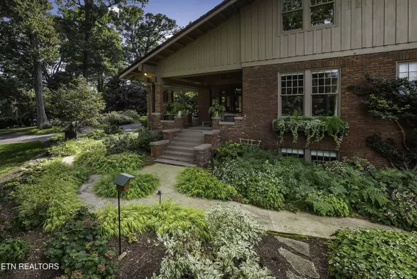 Knoxville, TN 37919,3835 Kingston PIKE