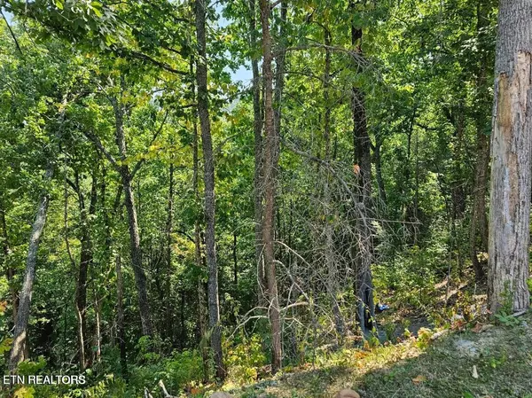 Sevierville, TN 37862,Lot 13-AR Villa Ridge PL