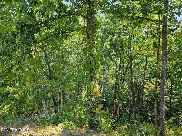 Sevierville, TN 37862,Lot 13-AR Villa Ridge PL