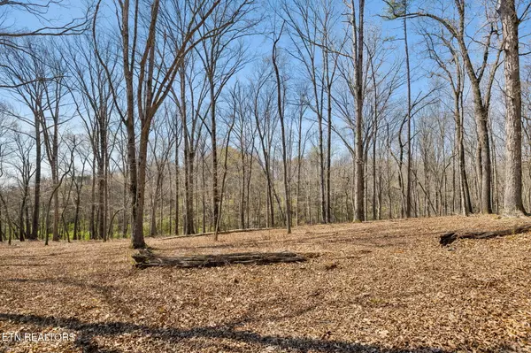 Loudon, TN 37774,1300 Old Sugar Limb Rd Rd