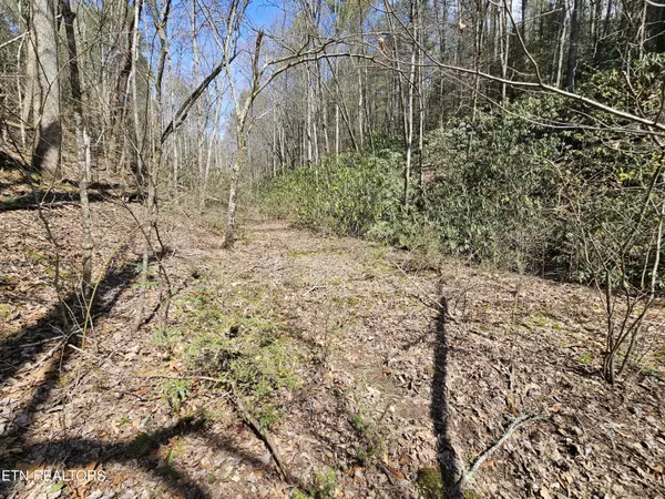 Tellico Plains, TN 37385,367 McJunkin Rd