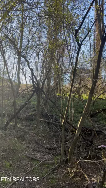 Patton Ave, Rockwood, TN 37854