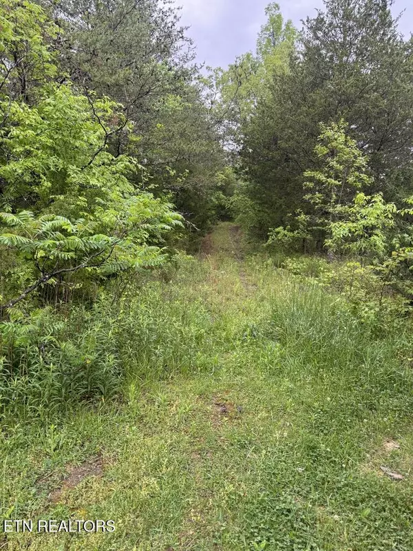 Sevierville, TN 37876,Coveside -38 acres WAY