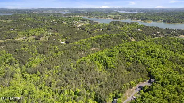 Sevierville, TN 37876,Coveside -38 acres WAY