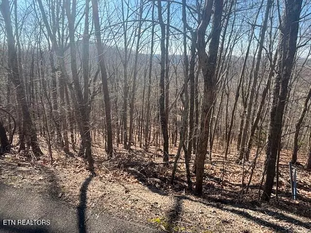LOT 207 Laurel Mtn Road Rd, Madisonville, TN 37354
