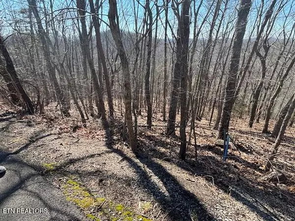 Madisonville, TN 37354,Laurel Mtn Road Rd
