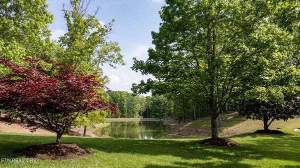 Cleveland, TN 37312,115 Tremolat LN