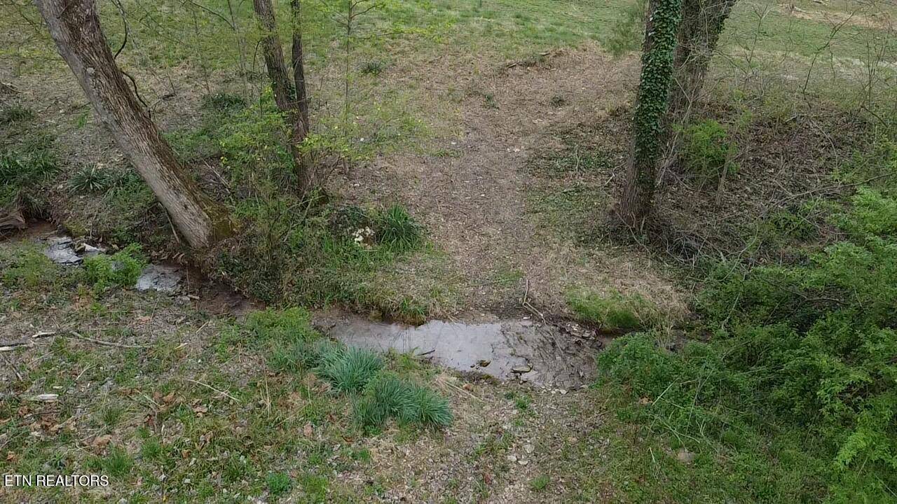 Sevierville, TN 37862,Lot 41 Thomas Headrick Rd