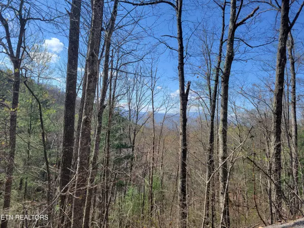 Sevierville, TN 37876,Lot 4 Alpine DR