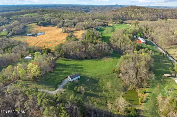 Hilham, TN 38568,209 Simmental LN