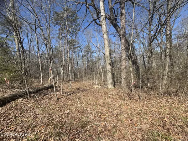 Monterey, TN 38574,Overlook Rd