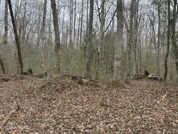 Jamestown, TN 38556,Pickett Park Hwy