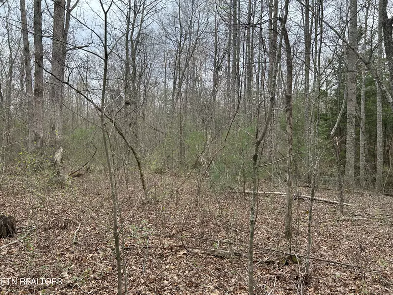 Milo Webb, Crossville, TN 38572