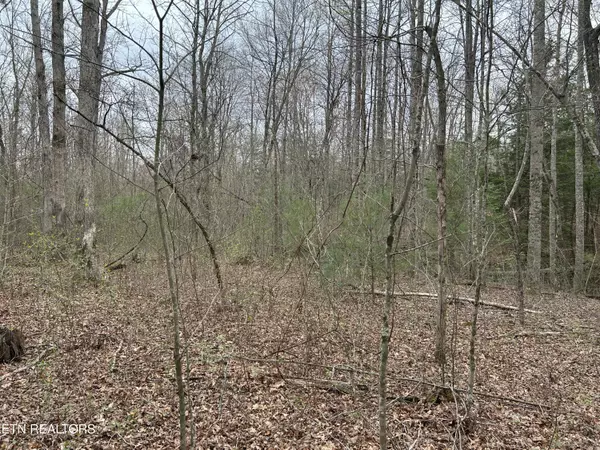 Milo Webb, Crossville, TN 38572