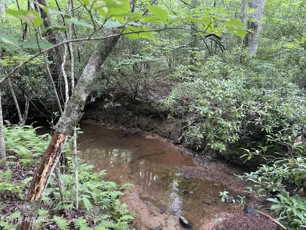 Monterey, TN 38574,10 T Place PL