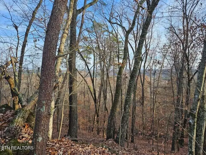 Lot 25 Countryside DR, Evensville, TN 37332
