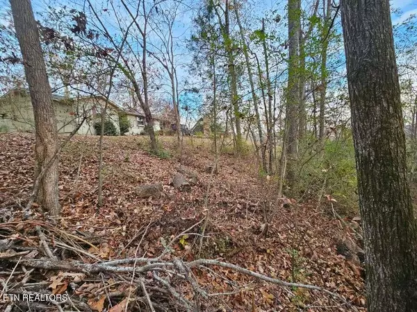Evensville, TN 37332,Lot 25 Countryside DR