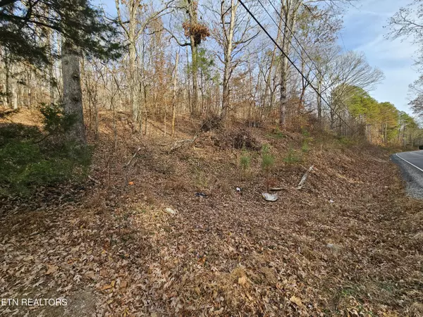 Evensville, TN 37332,Lot 7 Smyrna Rd