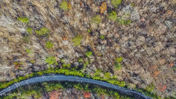 Pikeville, TN 37367,0 Maple LN