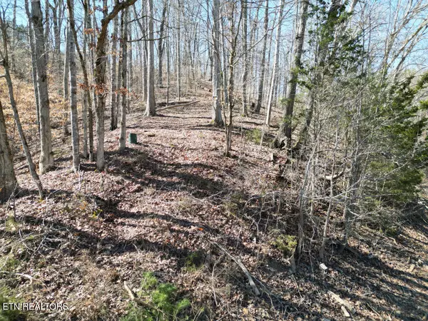 Dandridge, TN 37725,1544 Topaz LN