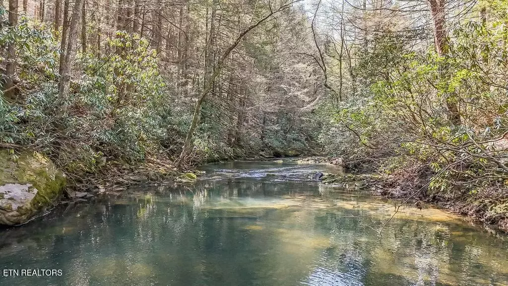 Deer Lodge, TN 37726,460 Twin Bridge Rd