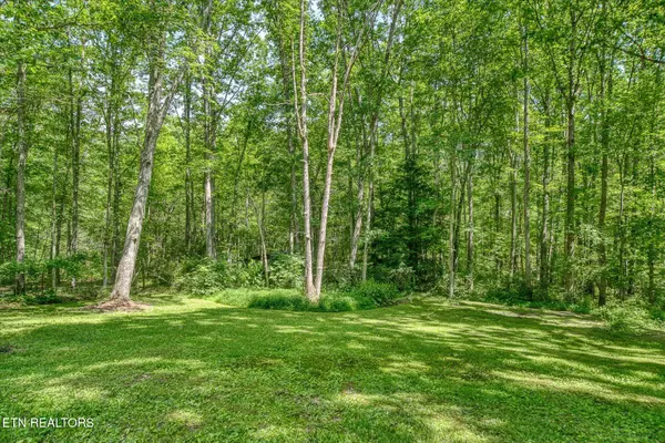 Jamestown, TN 38556,3115 Coon Hunter Lodge Rd