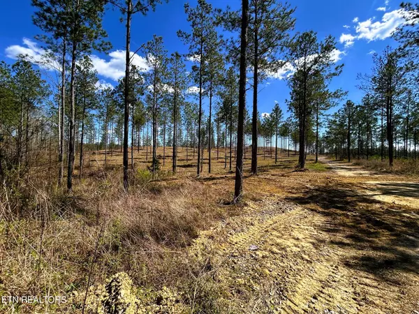 Cleveland, TN 37323,Tract 26A Hughes Lake Road SE