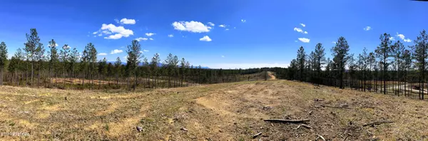 Cleveland, TN 37323,Tract 26A Hughes Lake Road SE