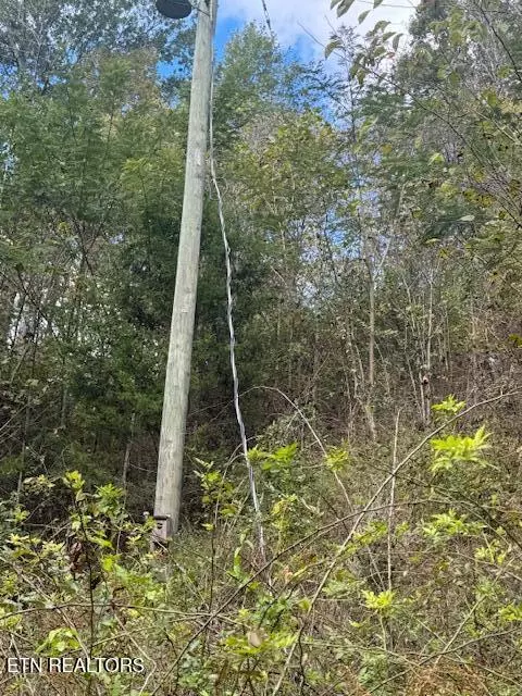 Seymour, TN 37865,Chapman Hwy