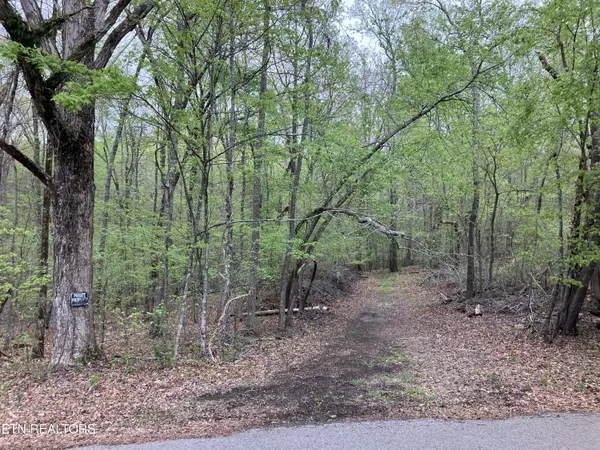 Rockwood, TN 37854,Lot 11 Eagle Point DR
