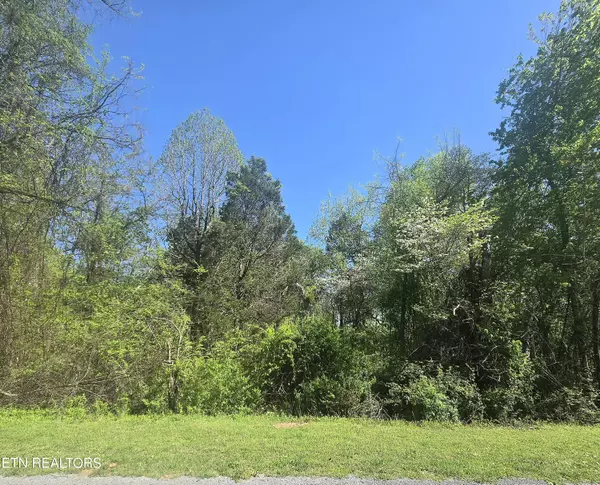 Spring City, TN 37381,Lot 68 King Hill Rd