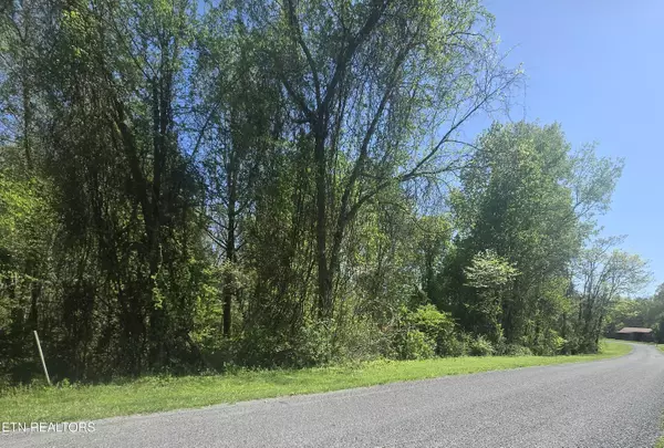 Spring City, TN 37381,Lot 68 King Hill Rd