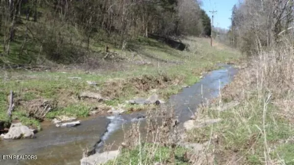 Gainesboro, TN 38562,Lot 1 Baugh Hollow Rd