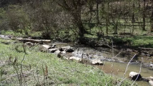 Gainesboro, TN 38562,Lot 1 Baugh Hollow Rd