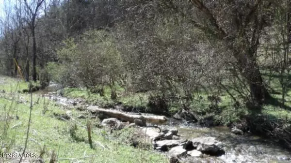 Gainesboro, TN 38562,Lot 1 Baugh Hollow Rd