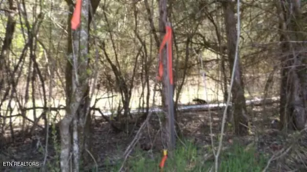 Gainesboro, TN 38562,Lot 6 Baugh Hollow Rd