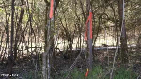 Gainesboro, TN 38562,Lot 6 Baugh Hollow Rd