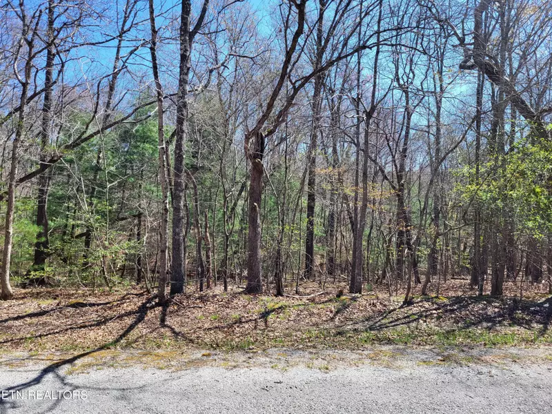 118 Dalefield LOOP, Crossville, TN 38558