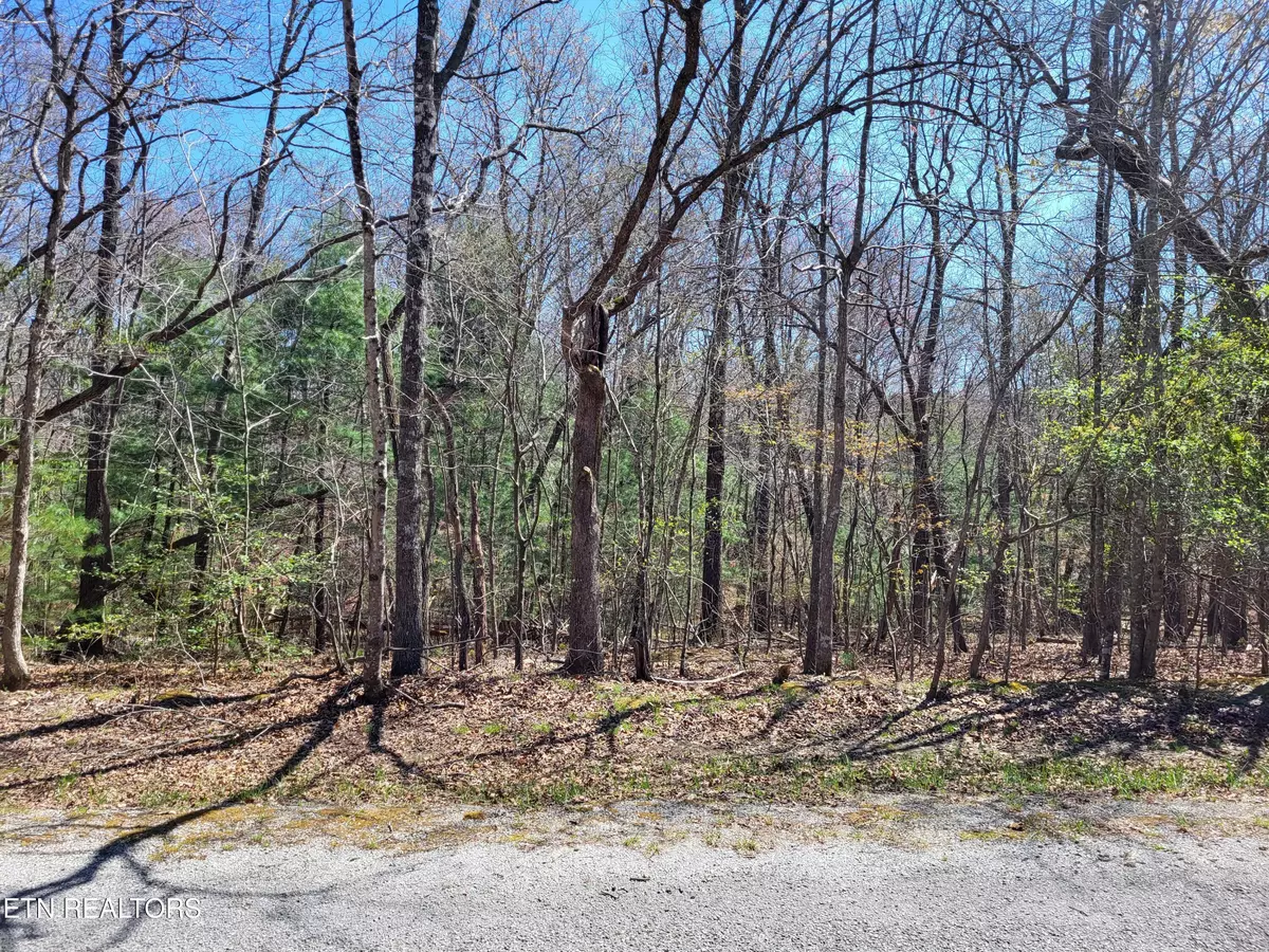 Crossville, TN 38558,118 Dalefield LOOP