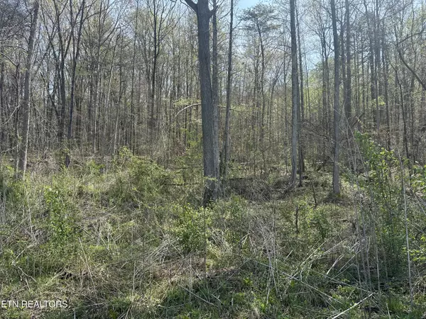 Jellico, TN 37762,Douglas LN