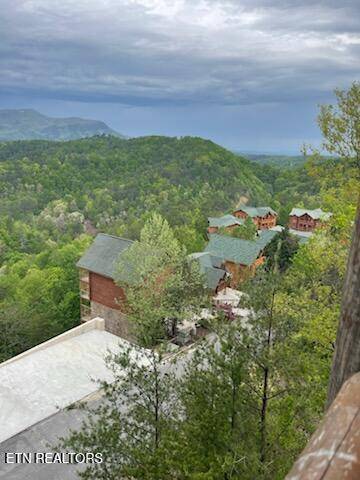 Sevierville, TN 37862,1258 Bird Nest WAY