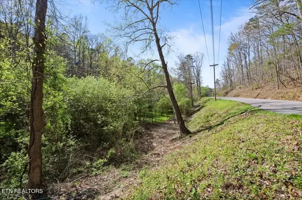 Lafollette, TN 37766,Rainbow View Rd