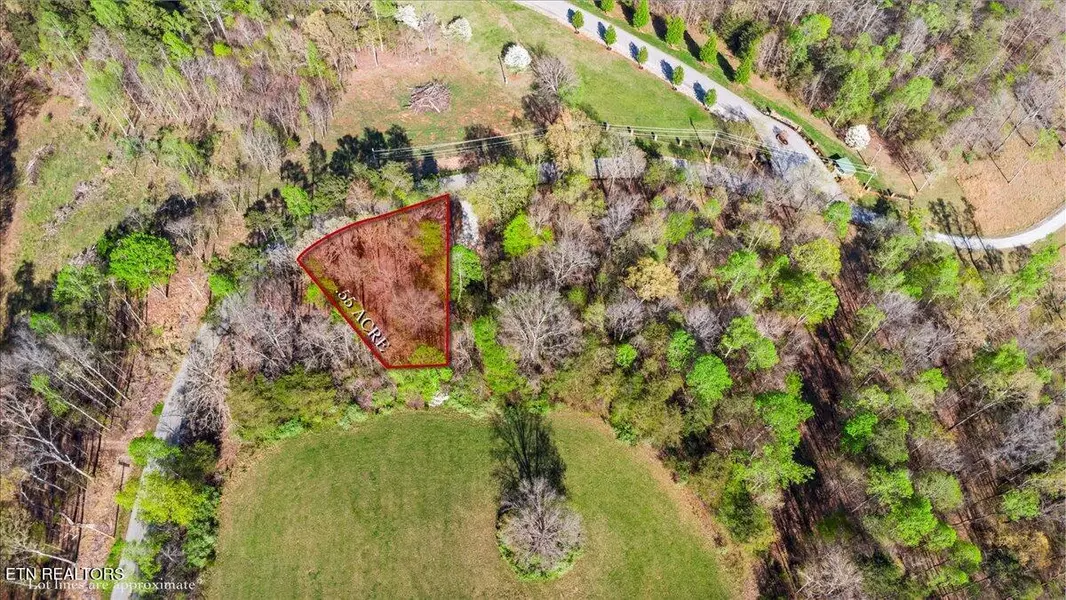 Lot 14 Demory Rd, Lafollette, TN 37766