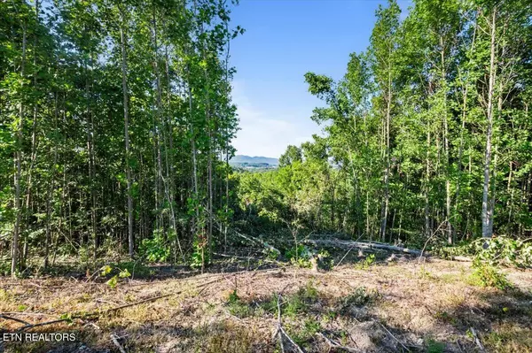 Caryville, TN 37714,281 Red Oak CIR